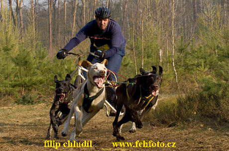 Polsko 2005 - 465.jpg